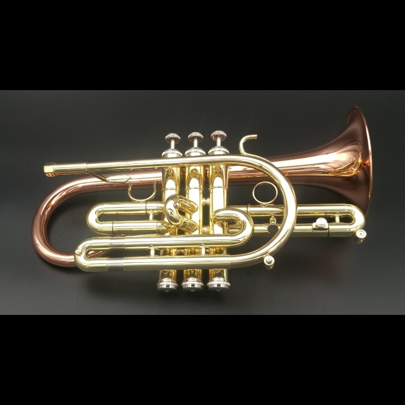 Getzen Eterna 800L